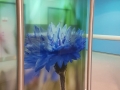 Royal Victoria Hospital digitally printed graphics onto glass screening panel